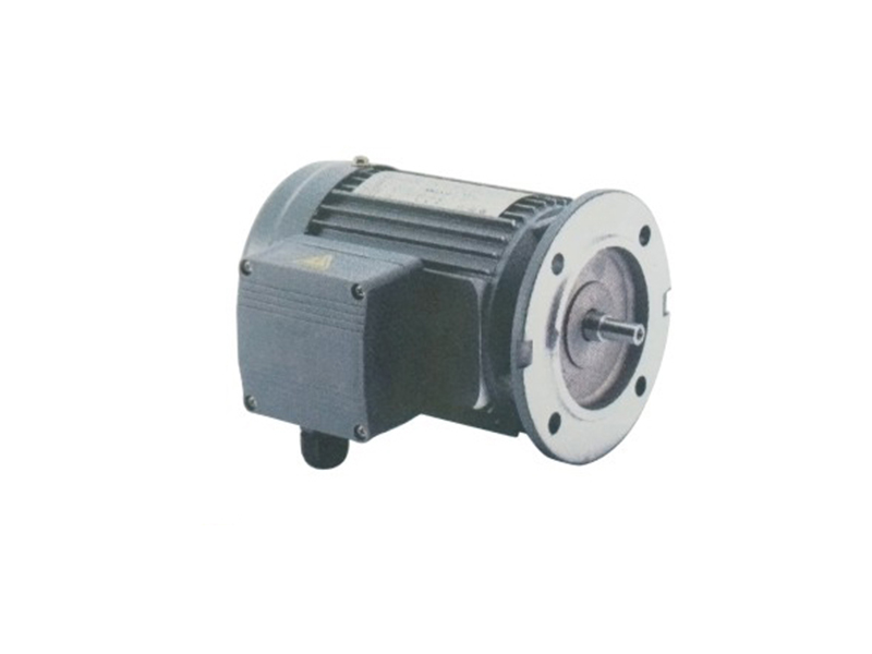 立式三相標(biāo)準(zhǔn)IEC鋁殼（剎車)馬達